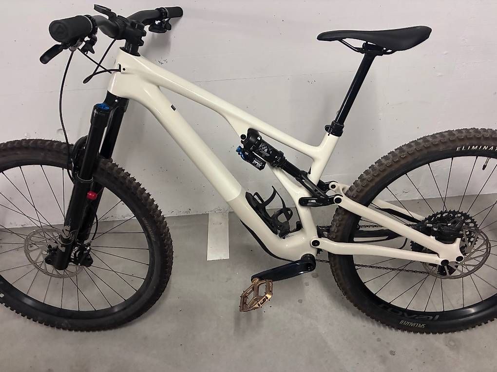 Specialized Biciclette: Specialized stumpjumper evo expert s4 – Usato da Neuheim venduto da Zar_wdj2 3
