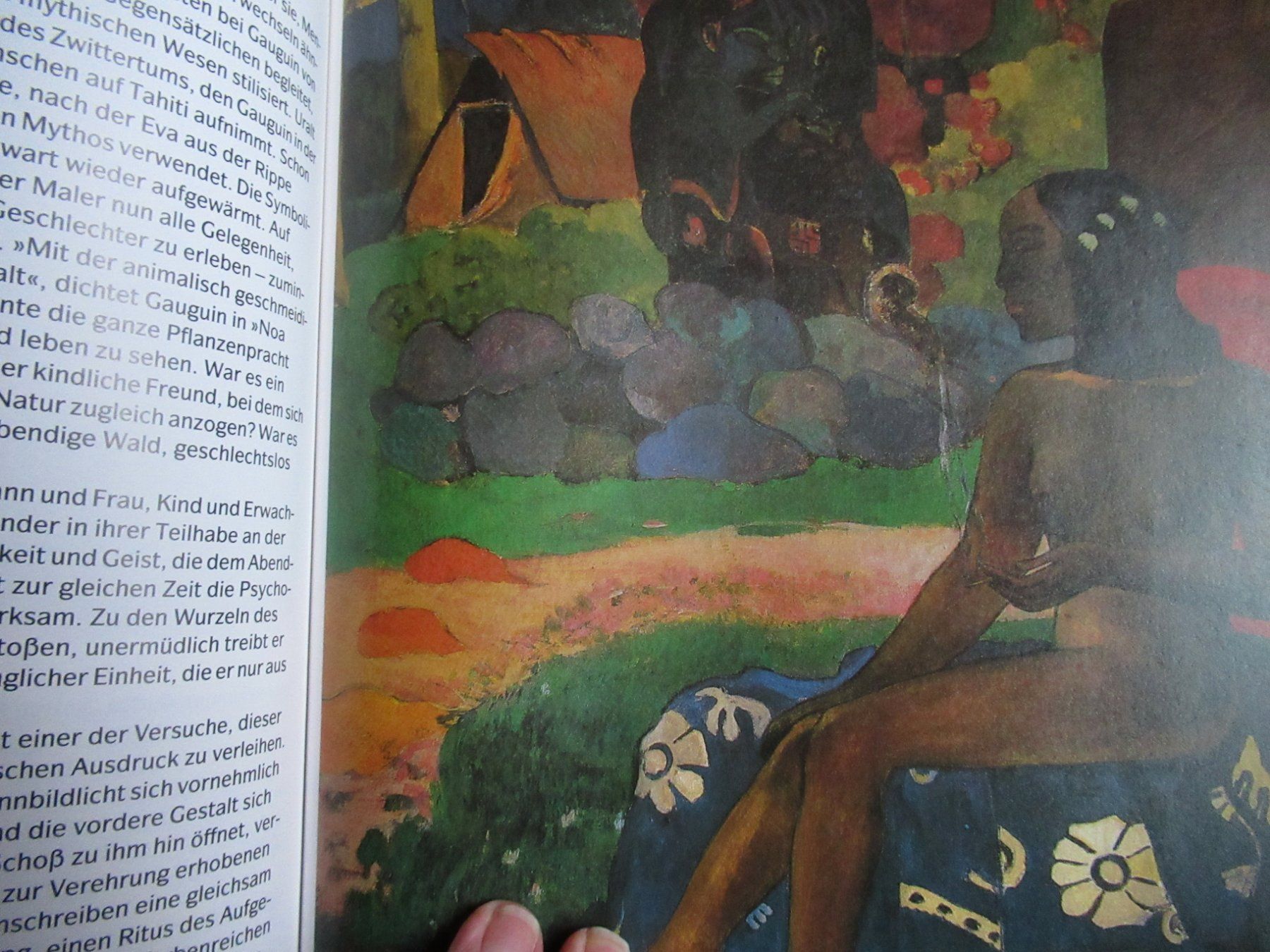 Libri: PAUL GAUGUIN – Usato da Moosseedorf venduto da haro01 7