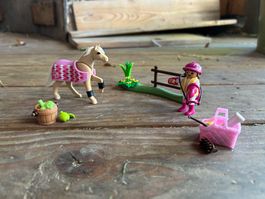 Playmobil 70521, Deutsches Reitpony