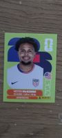 Panini FIFA World Cup 2026 Stick- USA 10 Weston McKennie
