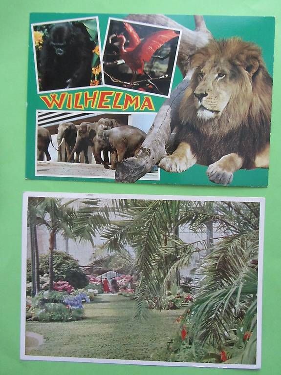 Cartoline postali: 2 Ansichtskarten Tiergarten Wilhelma Stuttgart – Usato da Malters venduto da moc_z8d9