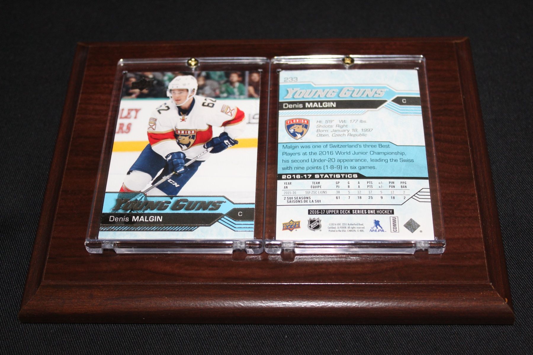 NHL Carte collezionabili: NHL Denis Malgin Florida Panthers – Nuovo e nell'imballaggio originale da Reinach BL venduto da RetroGamesSportsMore 1