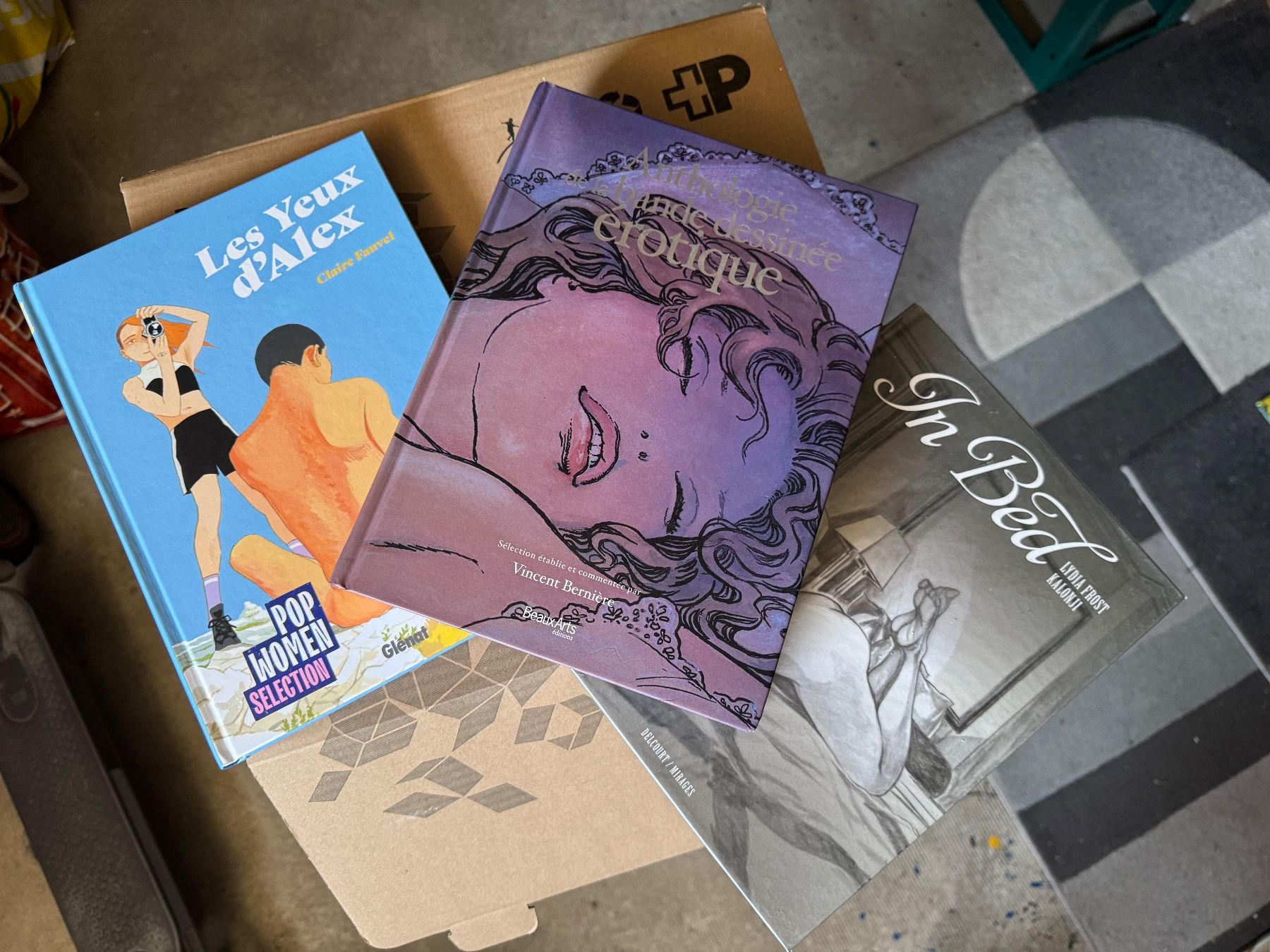 Fumetti: Anthologie de la BD érotique – Usato da Chêne-Bourg venduto da dem_y9pq