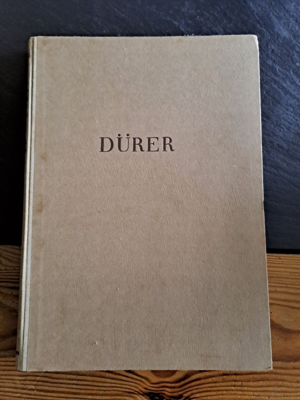 Bücher: Dürer Bildband und Text – Gebraucht aus Bern von Kamaleon