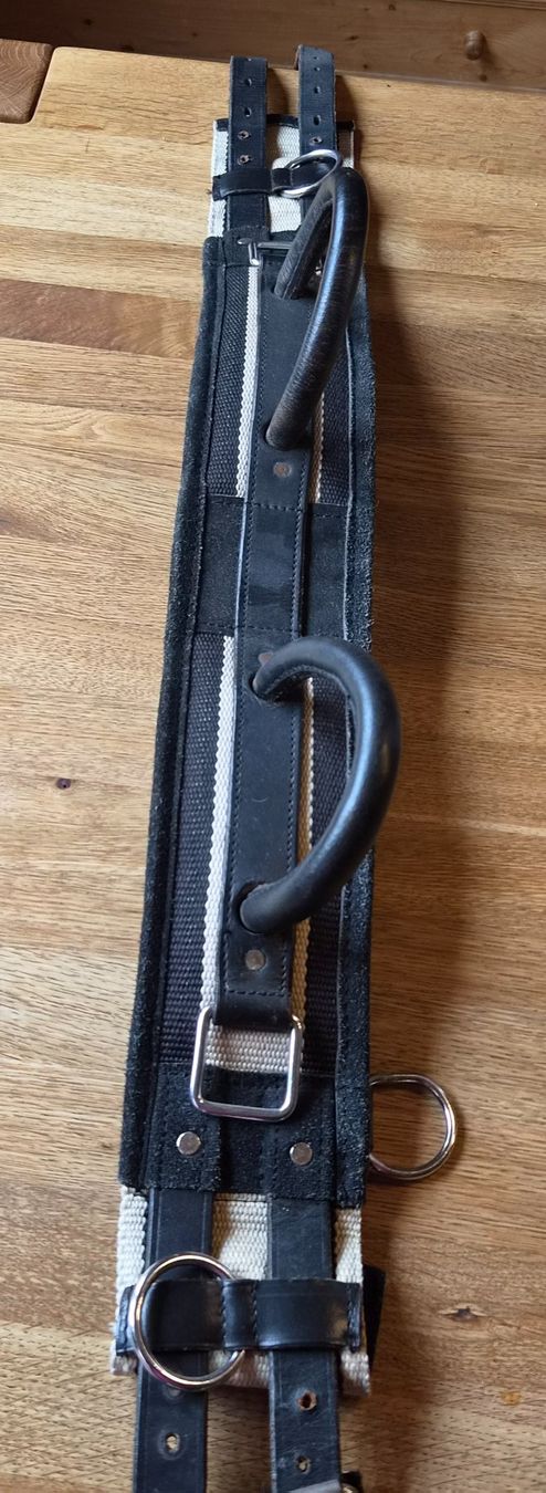 Selle & Accessori: Voltigiergurt – Usato da bichelsee venduto da numa22 1