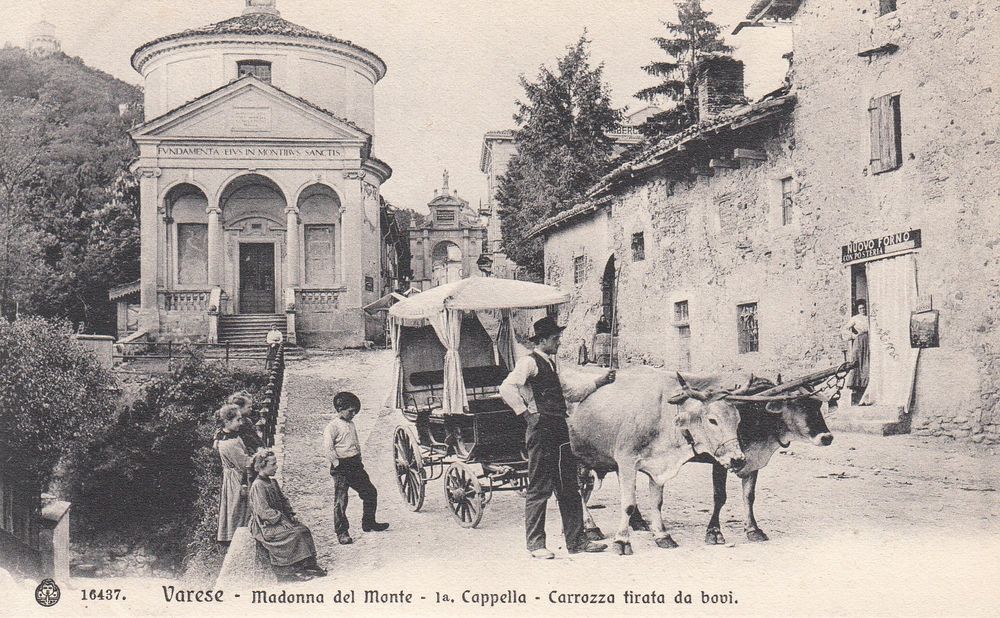 AK Varese Madonna del Monte Carrozza tirata da buoi 1900 Kaufen auf