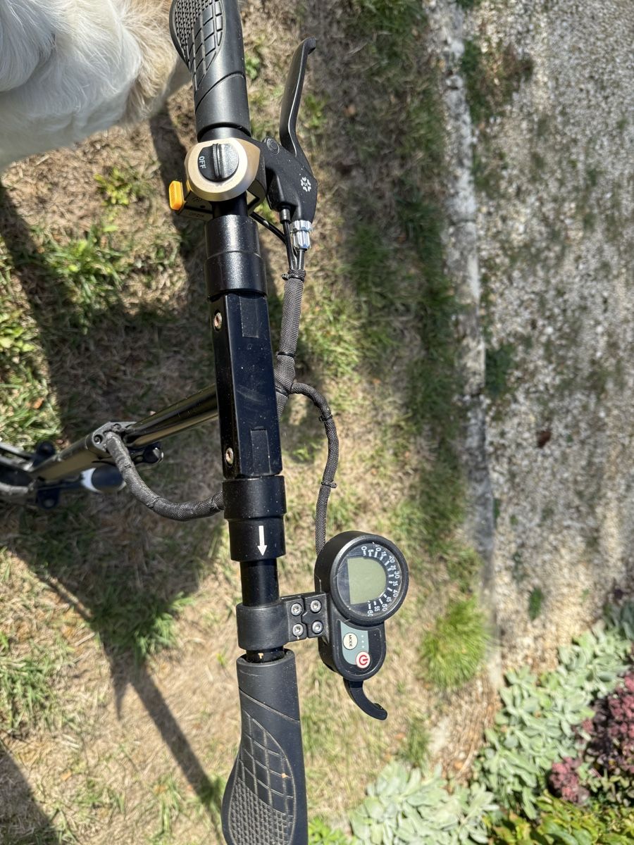 Scooter: E-Scooter Landglider – Usato da Möhlin venduto da Whinterland 2