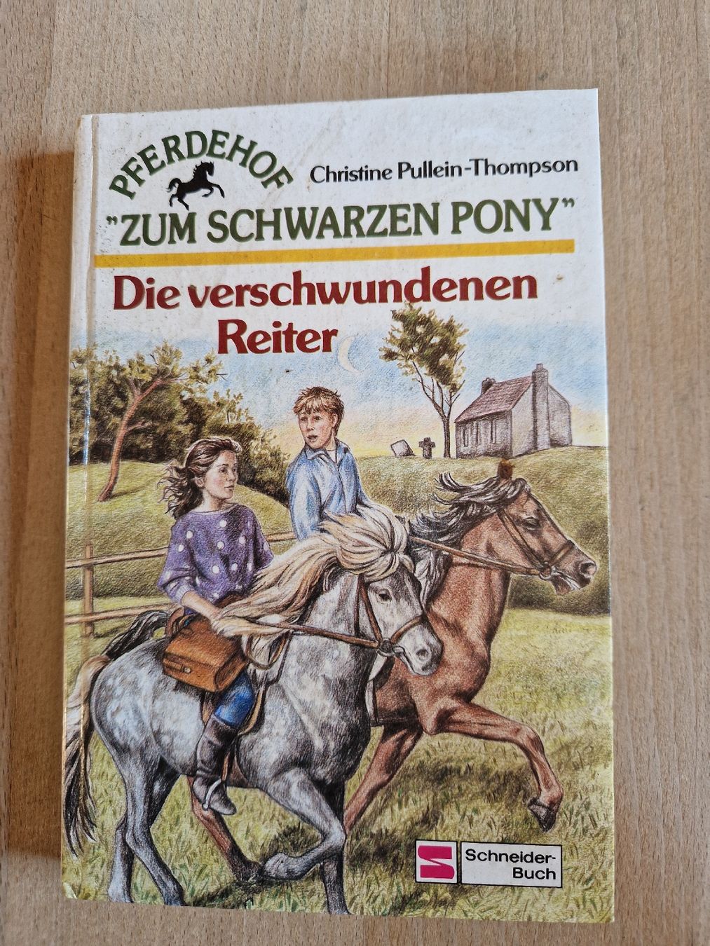 Libri: Pferdehof " Zum schwarzen Pony" – Usato da Binn venduto da Potter79