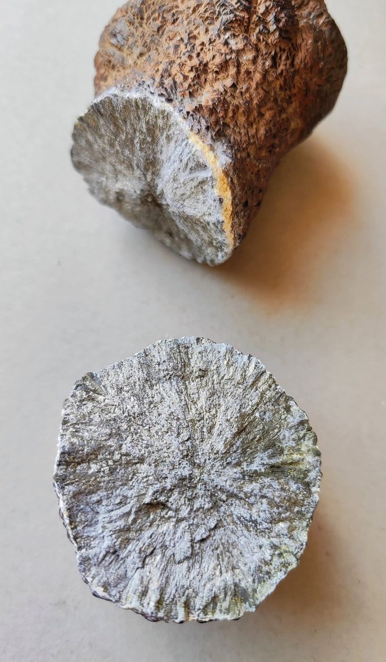 Minerali & Pietre curative: Ancienne stalagmite naturelle coupée en deux – Usato da Carouge GE venduto da for_8yym 3