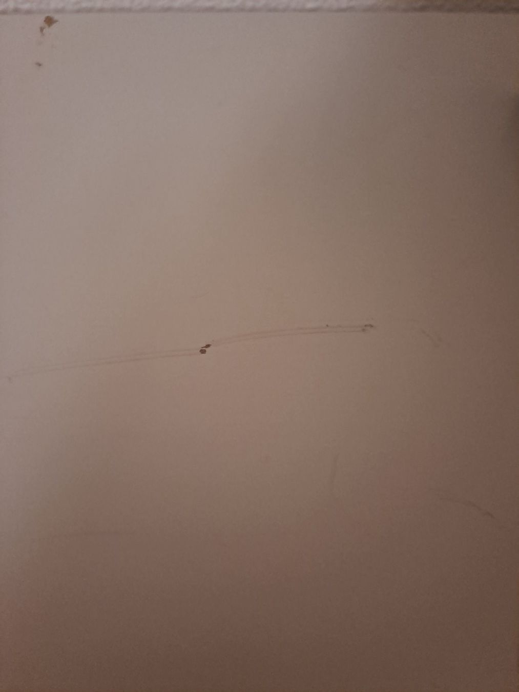 Ikea Regale: Kallax Regal weiss – Neu (gemäss Beschreibung) aus Wädenswil von FrieBro 2