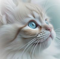 Diamond Painting Katzengesicht 40x40 cm