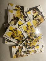 BVB Karten