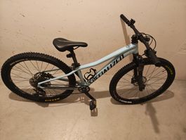 Specialized Riprock 24 Zoll – Hochwertiges Kinder-/Jugend-MT