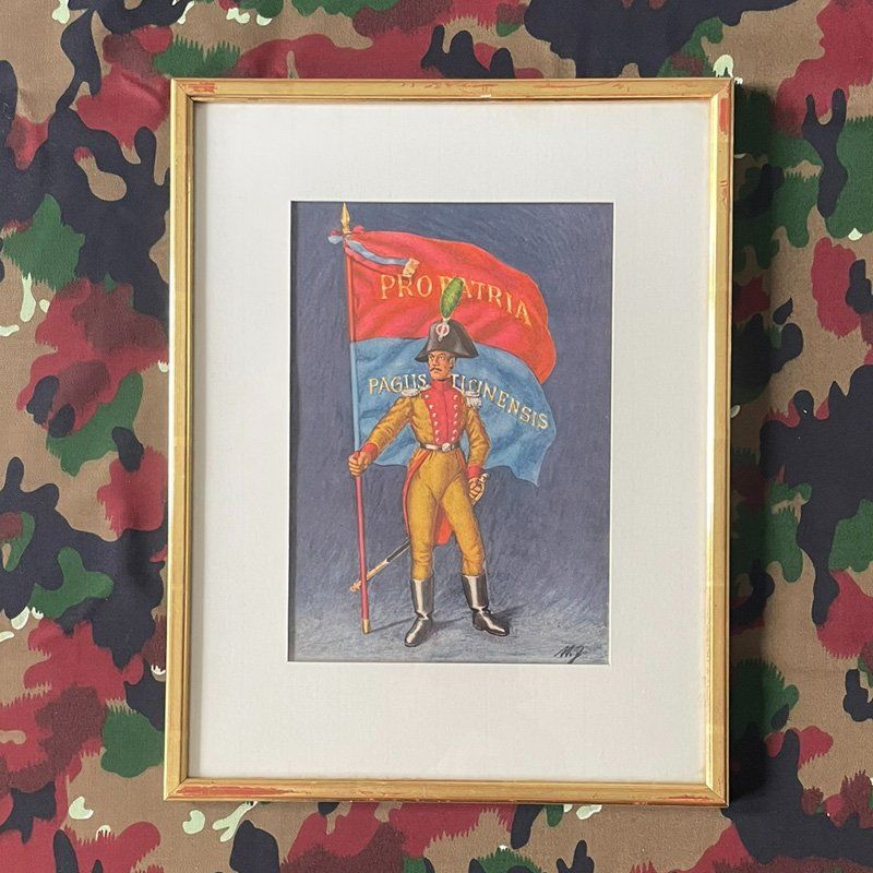 Poster & Bilder: Bild Bannerträger Kanton Tessin – Gebraucht aus Uerkheim von fabulafero
