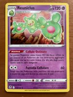 Pokemon Reuniclus Holo ITA (Versand gratis)