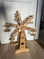 kirschlorbeer caucasica hecke Kaukasischer Kirschlorbeer | kaufen main image 0