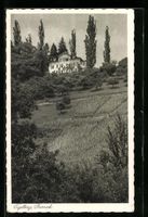 AK Berneck, Blick auf Haus Tigelberg