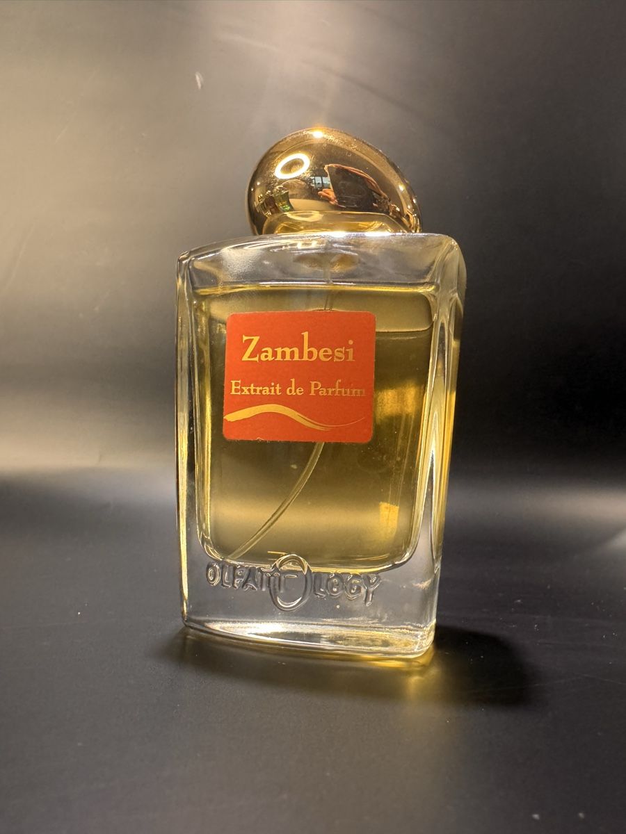 Profumi & Eau de Toilette: Olfattology | Zambesi – Usato da Cham venduto da van_x2kn