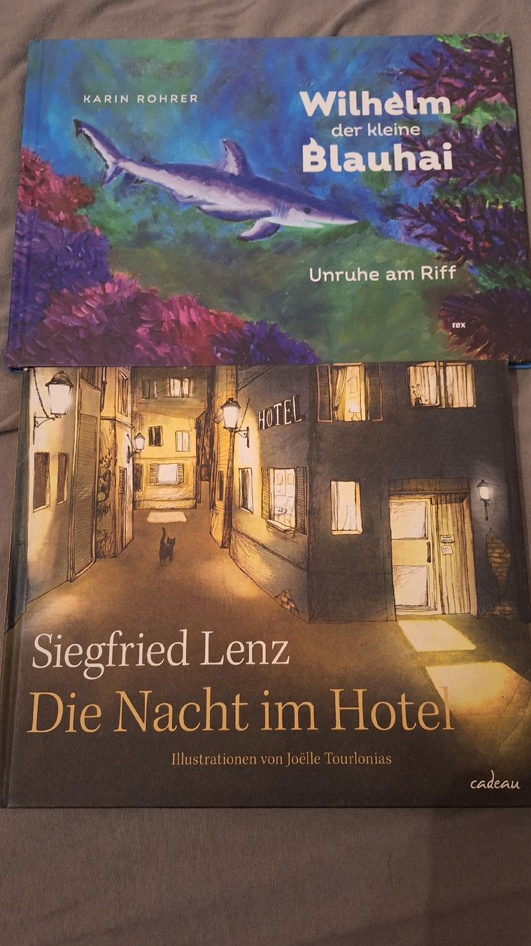 Libri: Bilderbücher – Usato da Wanzwil venduto da chlinih93