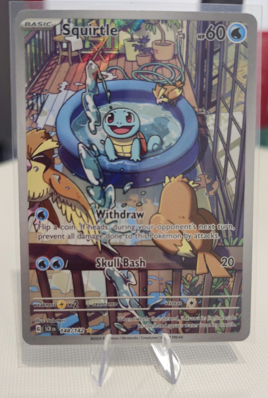 Pokémon Carte collezionabili: squirtle 148/142 – Nuovo (secondo la descrizione) da Cadenazzo venduto da spa_z96b