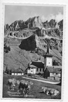 Klausenstrasse, Urnerboden mit Jägerstock und Kühen
