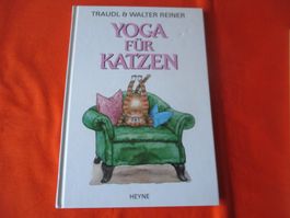 Buch Yoga für Katzen