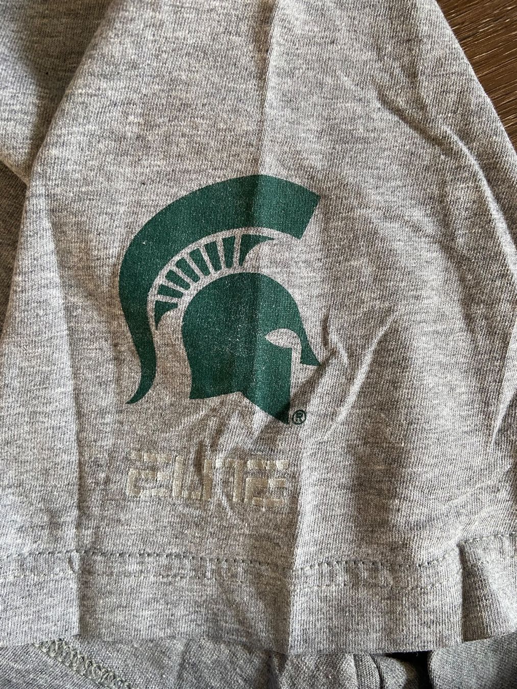Nike T-Shirts: Michigan State Spartans T-Shirt – Gebraucht aus Muttenz von bargain_hunter 1