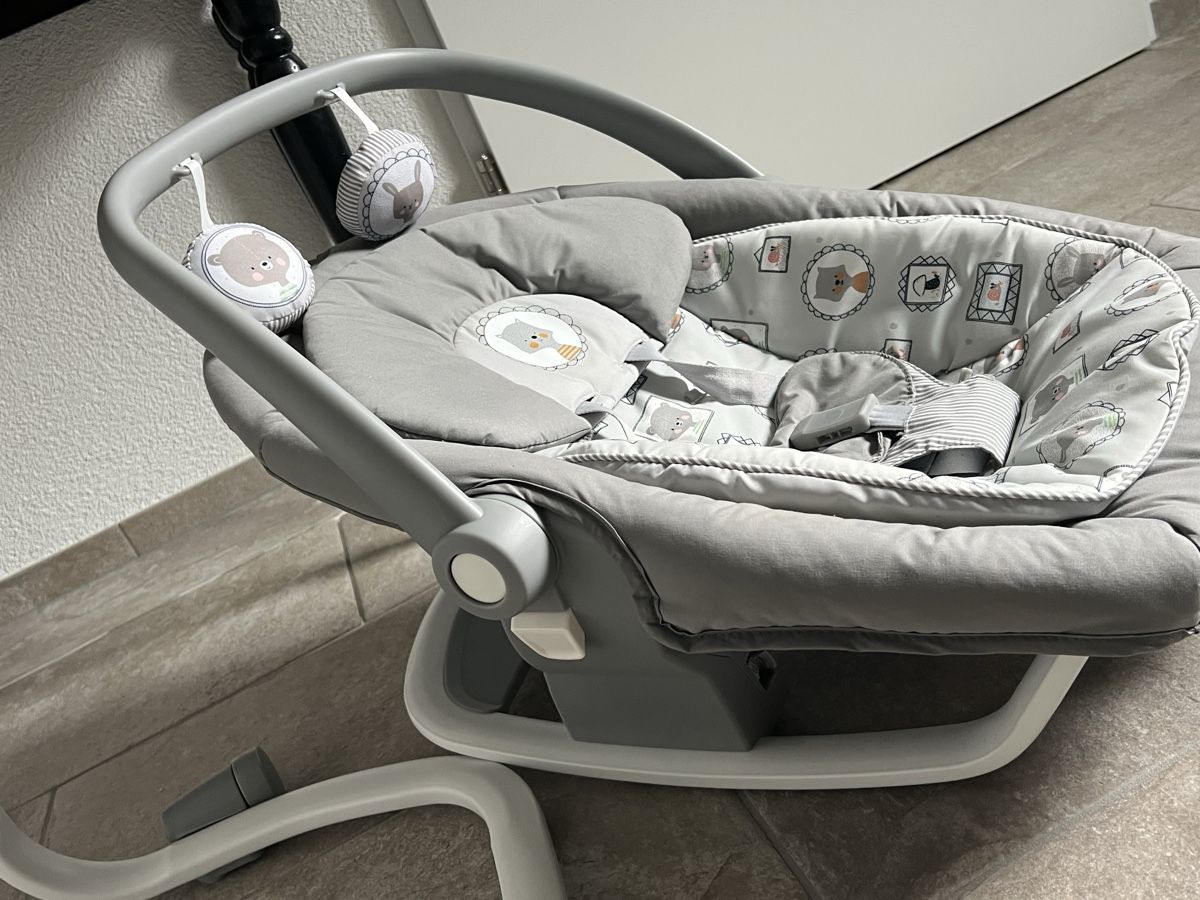 Joie Altre altalene da giardino: Joie Serina 2 in 1 Babyschaukel – Nuovo (secondo la descrizione) da Neerach venduto da priWalker93 1