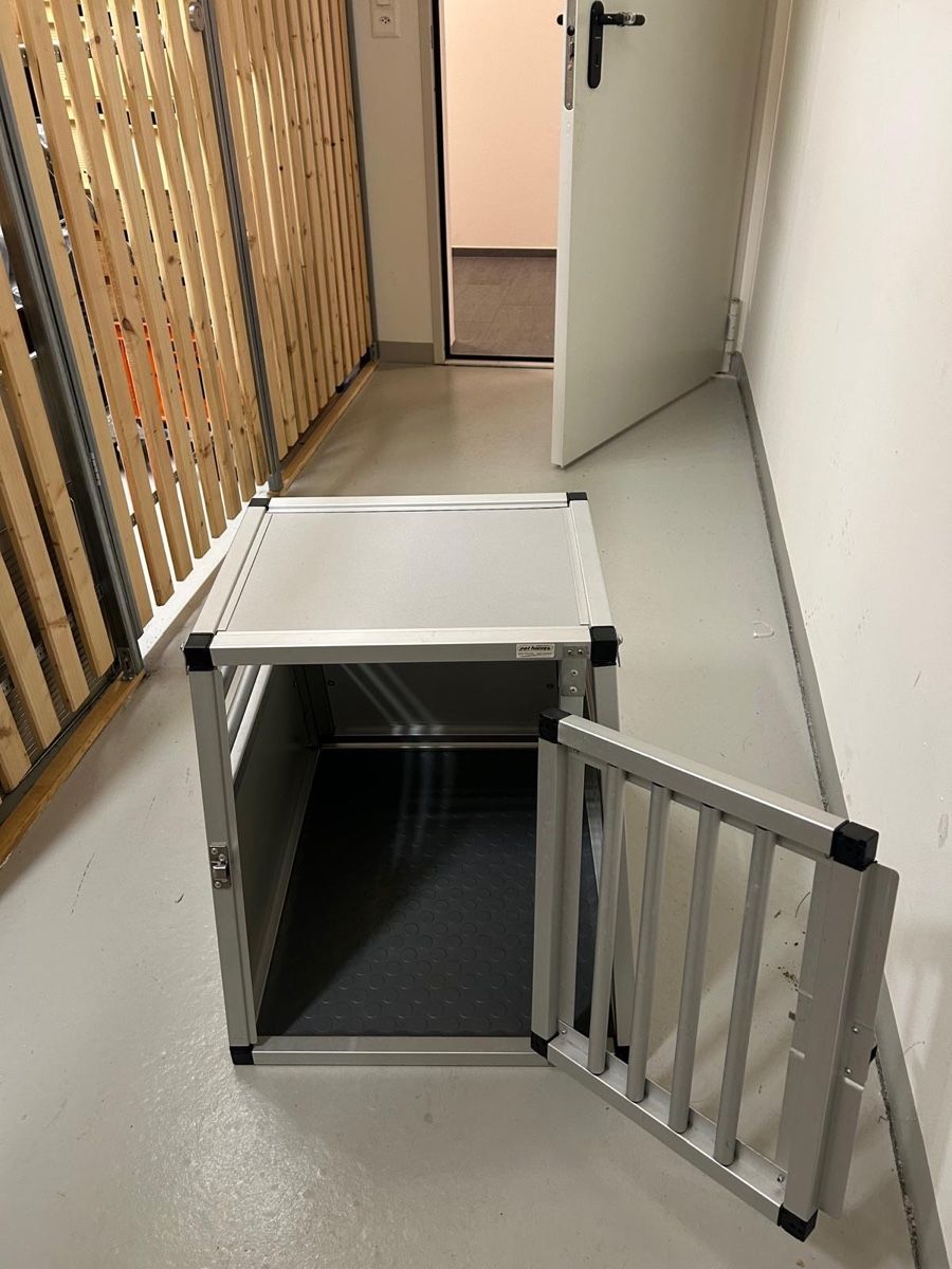 Cucce & Letti: Grosse Hunde Transportbox – Nuovo (secondo la descrizione) da Alpnach Dorf venduto da beauty87