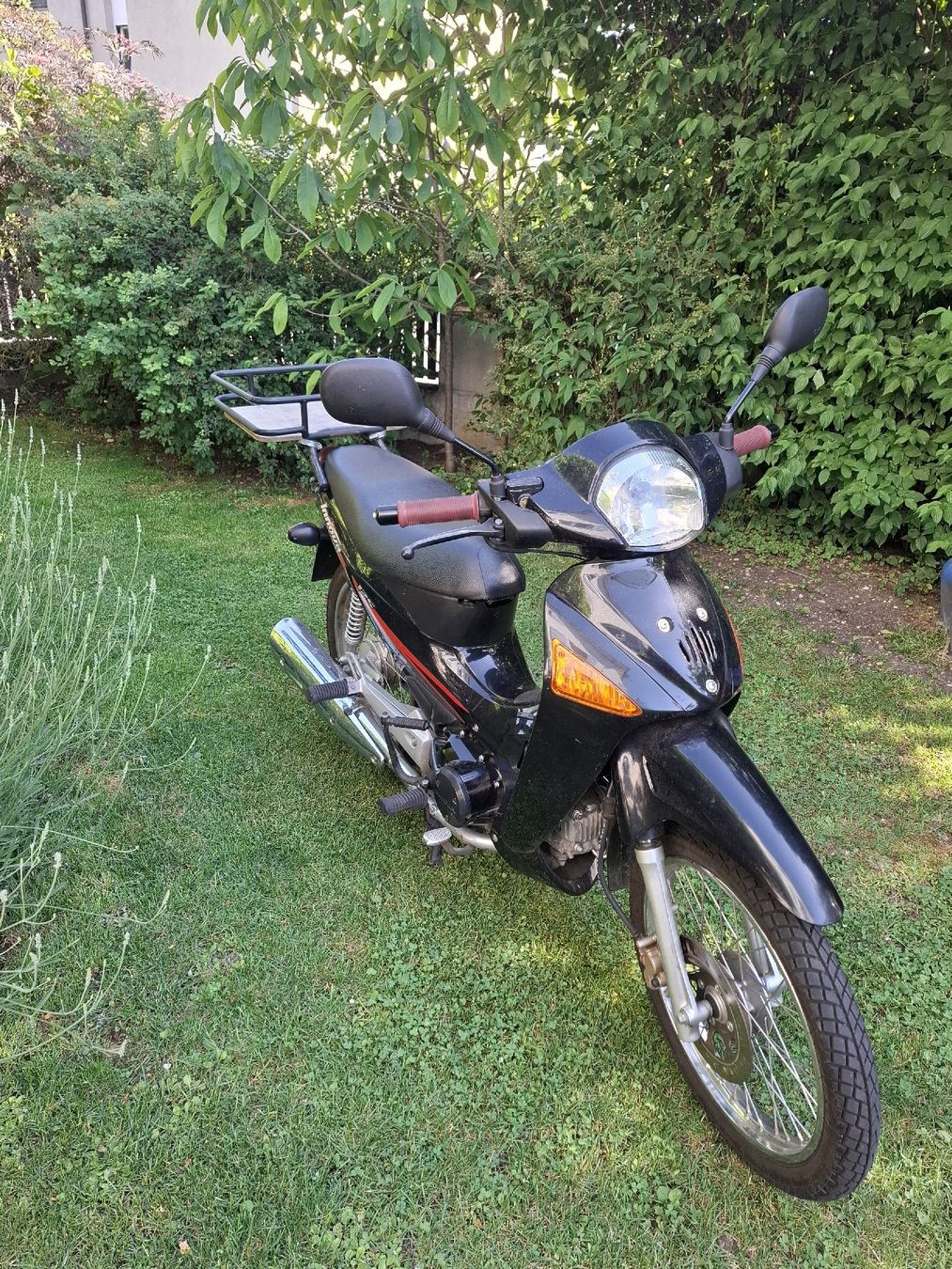 Honda Strada: Honda ANF 125 Innova – Usato da Reinach BL venduto da chlaus04
