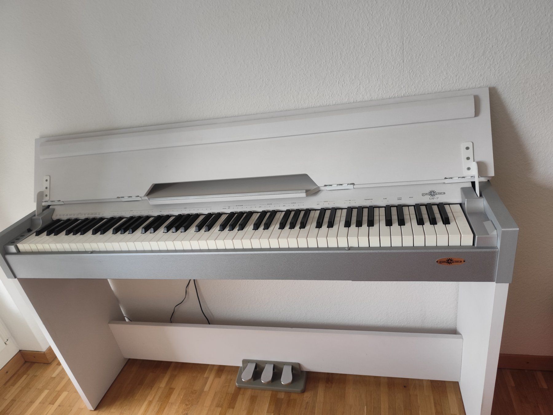 Strumenti musicali: E Piano Gear4music DP-7 – Usato da Oberaegeri venduto da frappe5