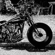 Profile image of Biker-Lady