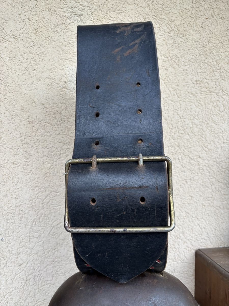 Campanacci mucche: Varonne NR 19 – Usato da Schangnau venduto da Roseggli82 2