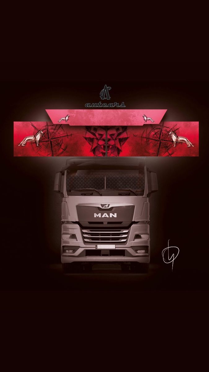 Tutti i ricambio: Lkw Gardinen MAN mit Muster – Nuovo e nell'imballaggio originale da Dielsdorf venduto da autcars 3