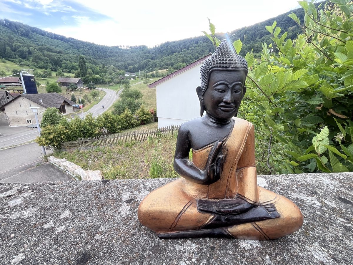 Sculture & Statue: 3 handgeschnitzte Holz-Buddhas aus Kambodscha – Nuovo (secondo la descrizione) da Büsserach venduto da Cabstardwarf3 1
