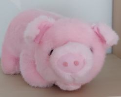 Schwein