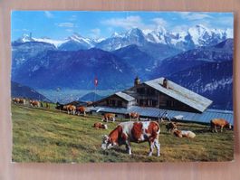 Niederhorn-Beatenberg, Berghaus