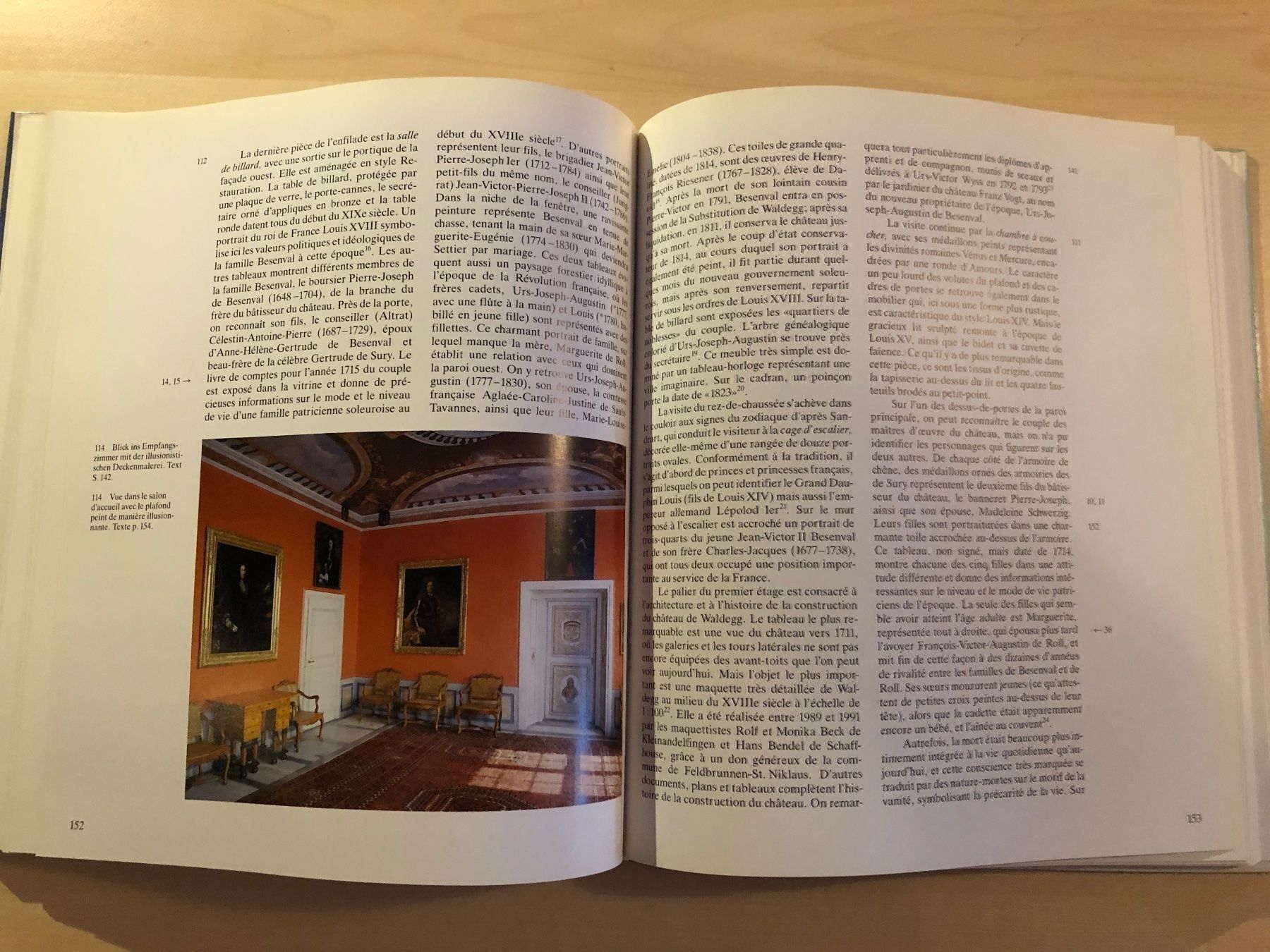 Libri: Schloss Waldegg bei Solothurn – Usato da Aarau venduto da R-O-G-E-R 9