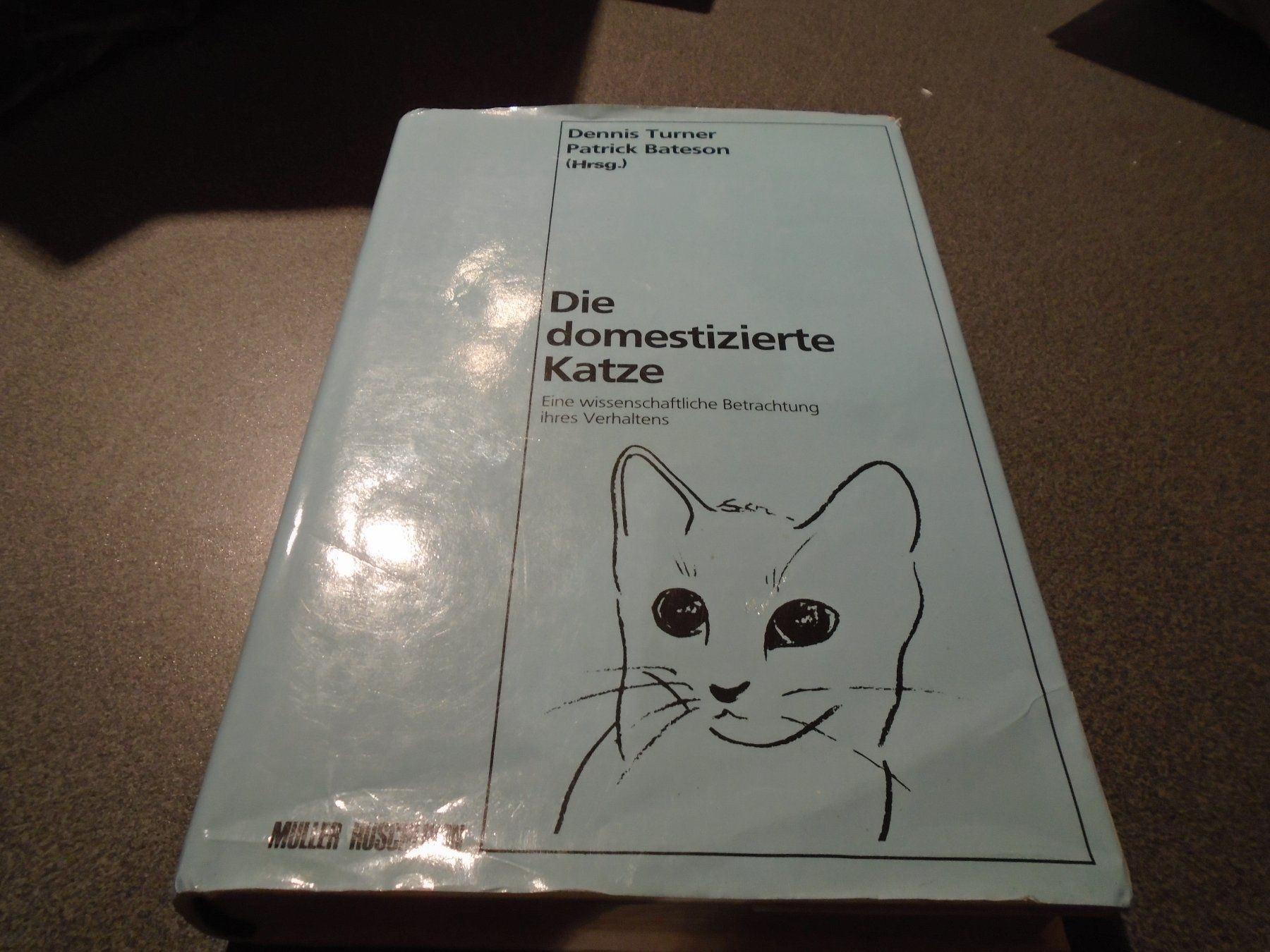 Bücher: Die domestizierte Katze – Gebraucht aus Zürich von Motzkuh