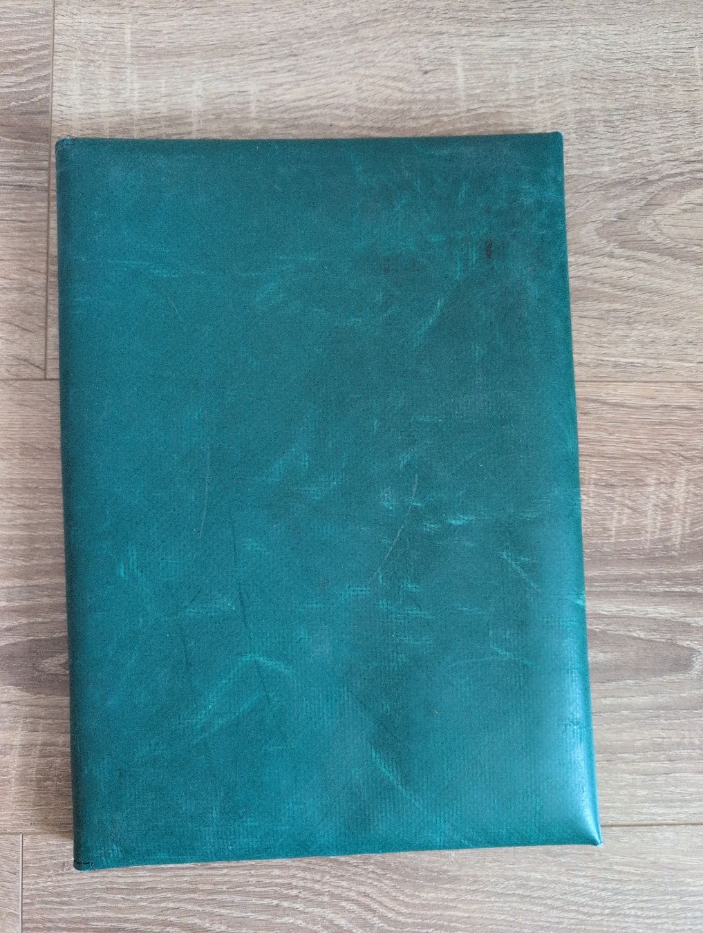 Freitag Covers & Borse: Freitag Tablet Cover Green – Usato da Zürich venduto da fschenkel 1