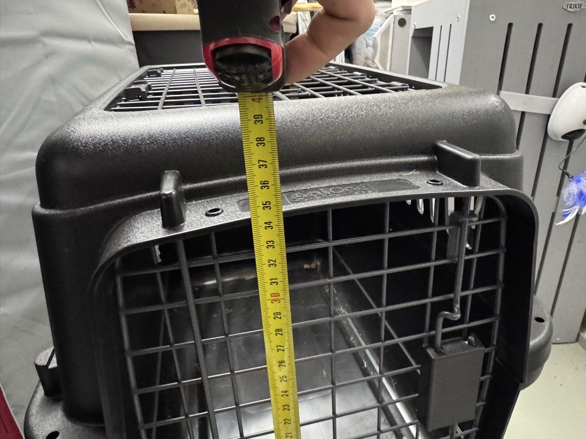 Cucce & Letti: Transportbox Katze AniOne – Usato da Pfäffikon ZH venduto da Lumika 2