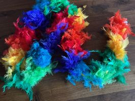 Bunte Federboa, ca. 180cm lang, Fasnacht, Karneval