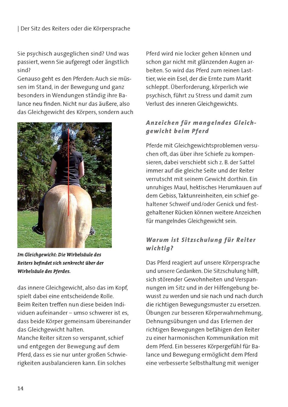 Libri: Dressurkurs mit Barbara Heilmeyer – Nuovo e nell'imballaggio originale da Sarnen venduto da Livres 4
