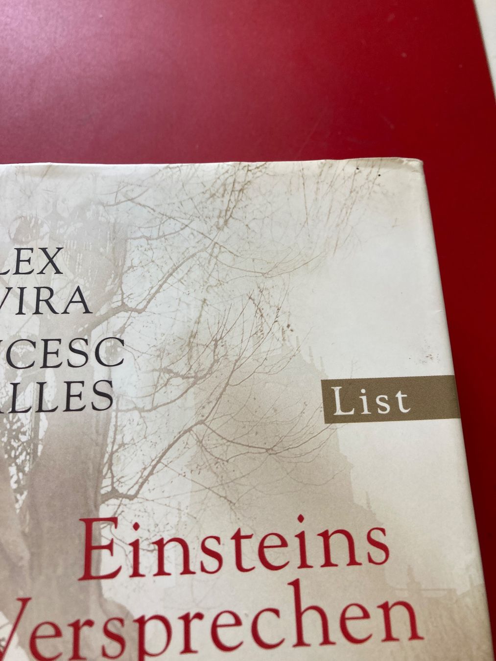 Libri: Einsteins Versprechen - Roman – Nuovo (secondo la descrizione) da Wädenswil venduto da claire010 1