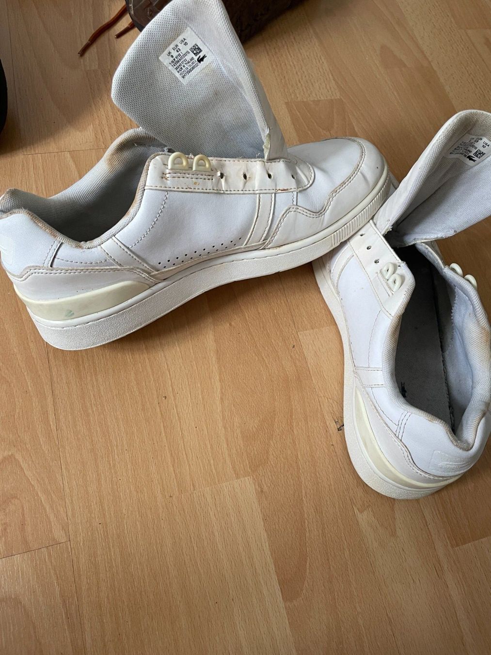 Lacoste Scarpe da uomo: Lacost T-Clip 0722 9 /43 – Usato da Frenkendorf venduto da Wolfjohny 1