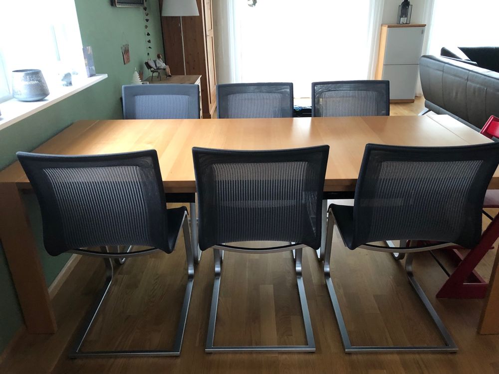 6 Stühle Magnum Dunkelgrau von Team 7 Kaufen auf Ricardo