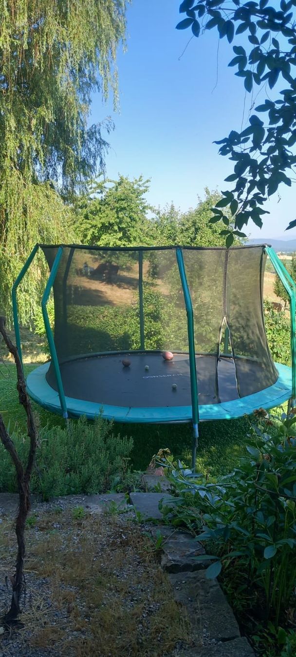 Trampolini: Trampolin – Usato da Ersigen venduto da Forstfichte