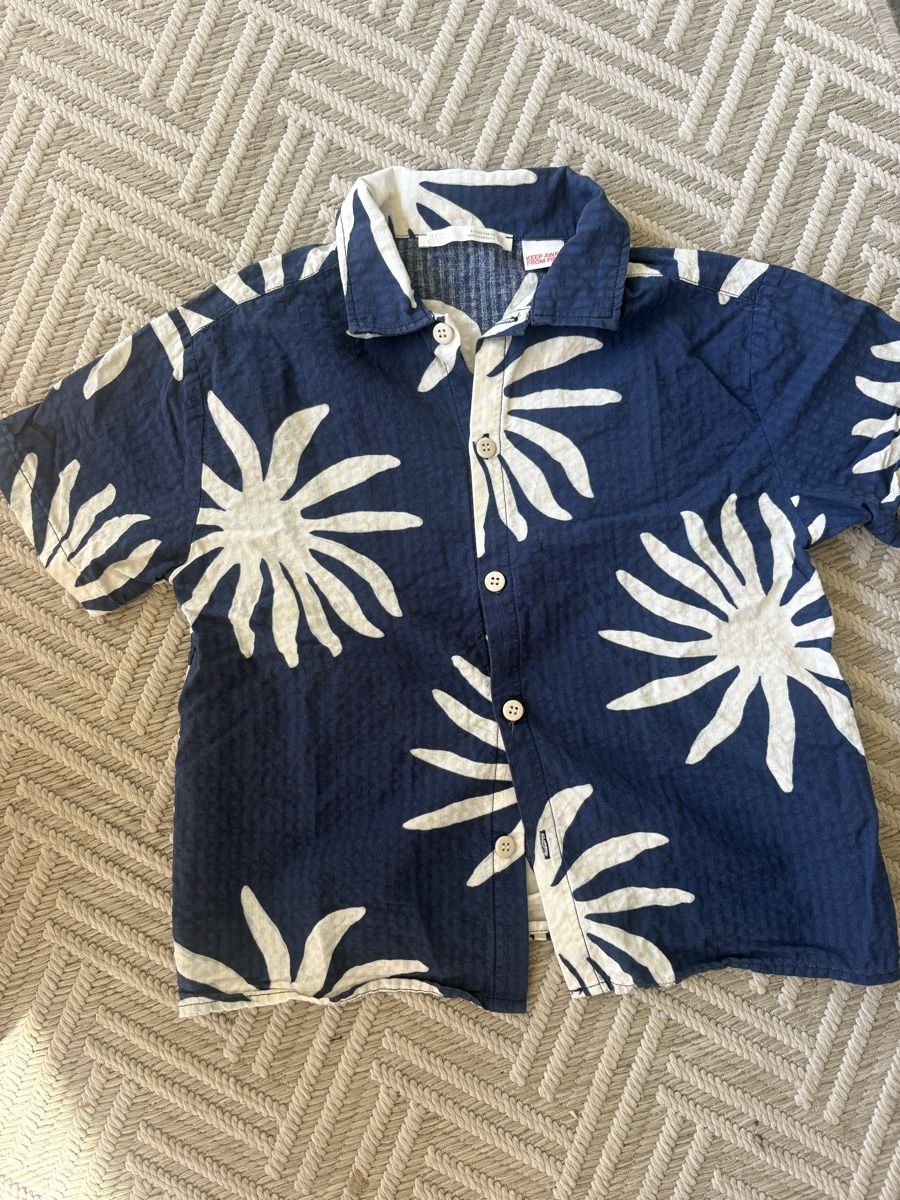 Zara Camicie, T-shirt & Polo: Zara Hemd Boys Grösse 116 – Usato da Lachen SZ venduto da Lina1989