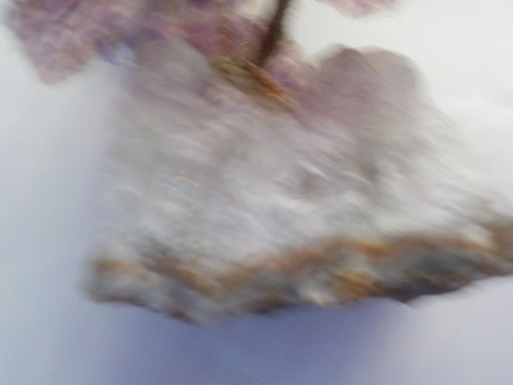 Pietre preziose: Amethyst, Edelsteinbäumchen – Nuovo (secondo la descrizione) da Muri b. Bern venduto da Gemmes 1