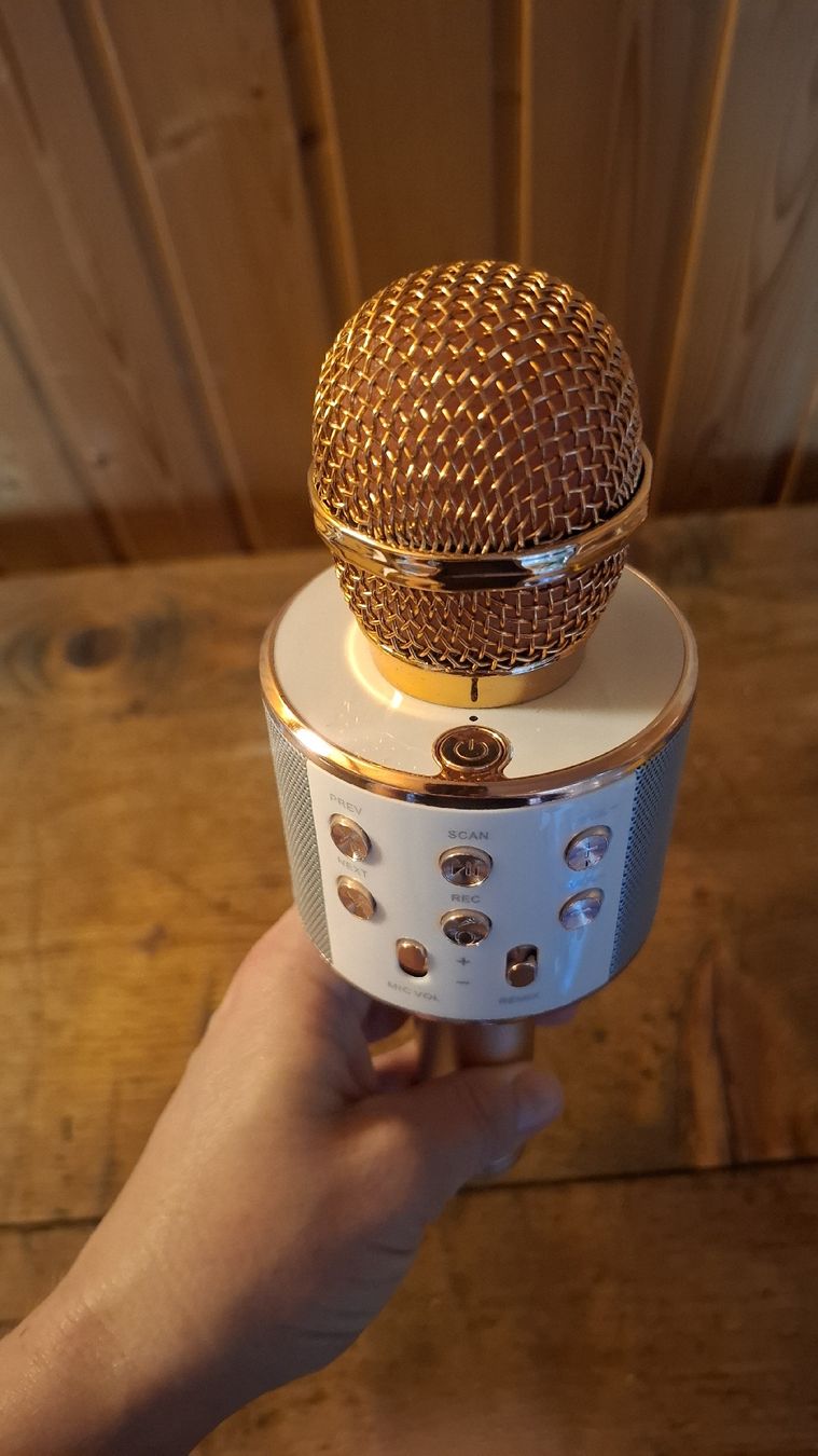 Mikrofone: Karaoke Mikrofon mit Lautsprecher/Bluetooth roséfarben – Gebraucht aus Ebnat-Kappel von Aibur 2